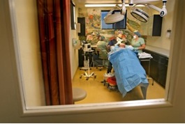 Dr. U's FUE hair transplant patient|surgery room Dr. U's FUE hair transplant patient|during procedure