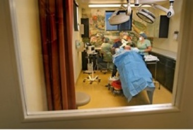 best FUE hair transplant surgeon|Dr. U's hair transplant patient undergoing surgery best FUE hair transplant surgeon|Dr. U's hair transplant patient undergoing surgery