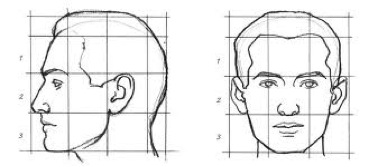 best hair transplant in the world |aesthetic balance Best Hair Transplant in the World |facial proportions