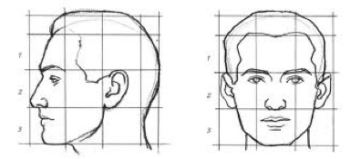 Hairline Transplant |Facial Proportions | Rule of Thirds